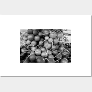 Fresh Radishes BnW Posters and Art